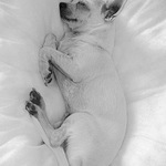 Sweety