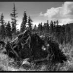 Šumava oujéééé)