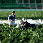stahovacka,soup to na branu,ty by rozkopali i Real Madrid