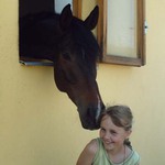 Přátelství na první pohled