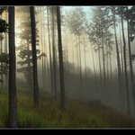 A jitra jsou zde tichá