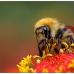 .. prostě letní ...