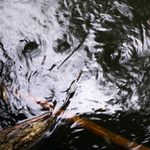 Měj se u vody na pozoru...