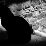 Cerna kocka pres cestu