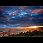 ~ Evans Crown Reserve ~