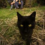 Kuhling s Bruno Kocurem