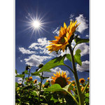 * VZHLIADAM K TEBE *