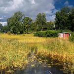 Z procházek po Švédsku