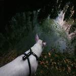 Letní iluze ve středu