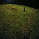 Letní iluze ve středu