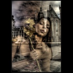 Královehradecké snění