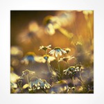 ...sluneční koupel...