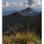 Moje srdeční záležitost