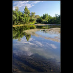 Odpoledne na řece...