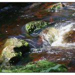 Bublavý potok na Rejvízu