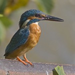 bacha, manikůrku mám v pořádku :)