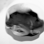 Venovanééé !!! for RP