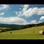 ...Anenský vrch I. ...