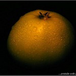 Protože svět je kulatej :-)