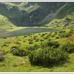 Poledovcová krajina