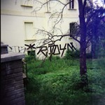 in yer backyard, nigga