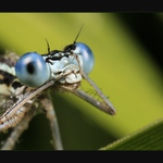 Jééé, co to tu mám?