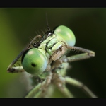 "A pak ti takhle zlomim vaz!"