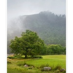 Upper Lake of Glendalough Valey