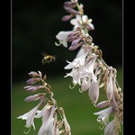 Přistání povoleno!