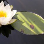 ...a zjavila sa nečakane