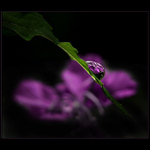 ***UŽ NEMÁM RÁDA ODRAZY V KAPCE***