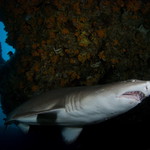 Tak ještě jeden písečňák