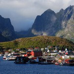 Reine