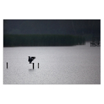 Když v ráji pršelo