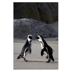 Fakt! Říkala to Kelišová.