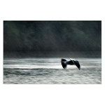 Mezi kapkami deště