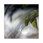 Odlesky paralelního světa