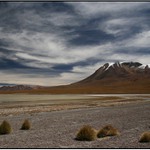 Altiplano