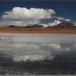 Altiplano III.