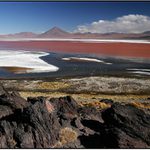 Laguna Colorada
