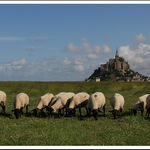 Pohlednice z Normandie