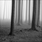 ..nakloněný svět...