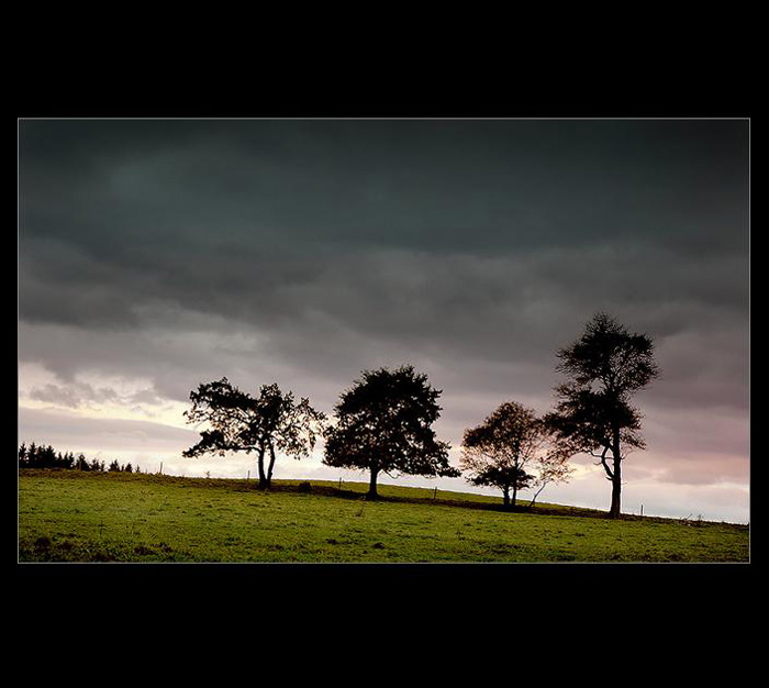 .: ŠUMAVA :.