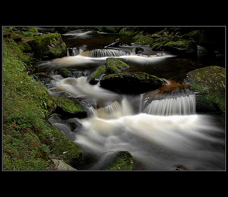 Na Hamerském potoce II