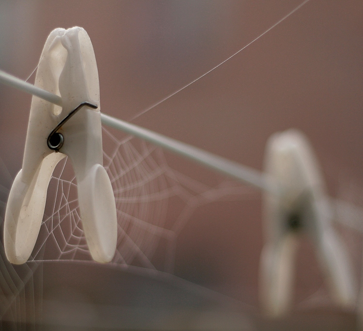 Pavoučí sušení prádla