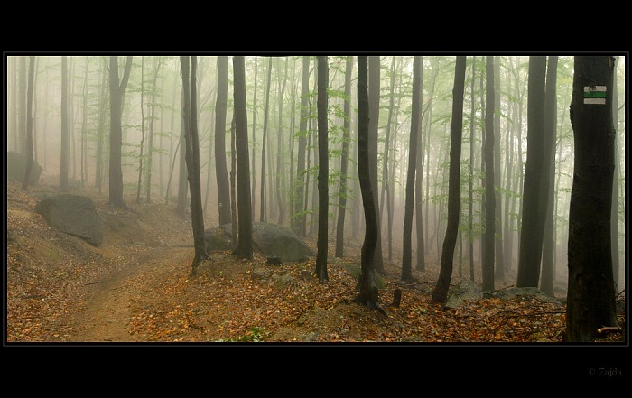 Oldřichovské stezky,....