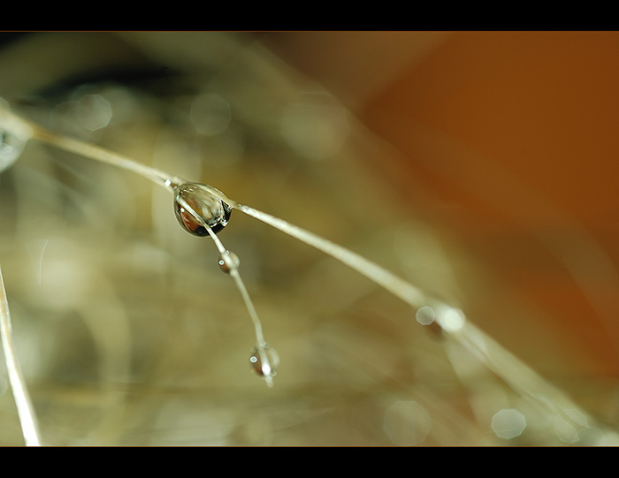 Ve snech ukrytá 6 ...