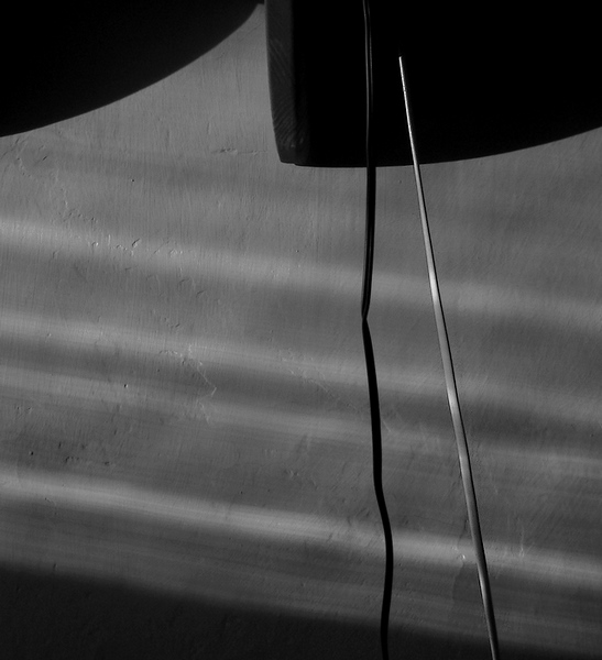 jin a jang, černá a bílá, muž a žena