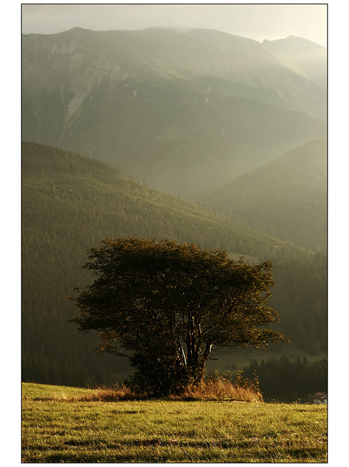 Solitér