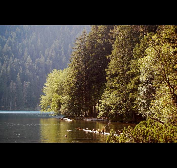 Od Černého jezera ...